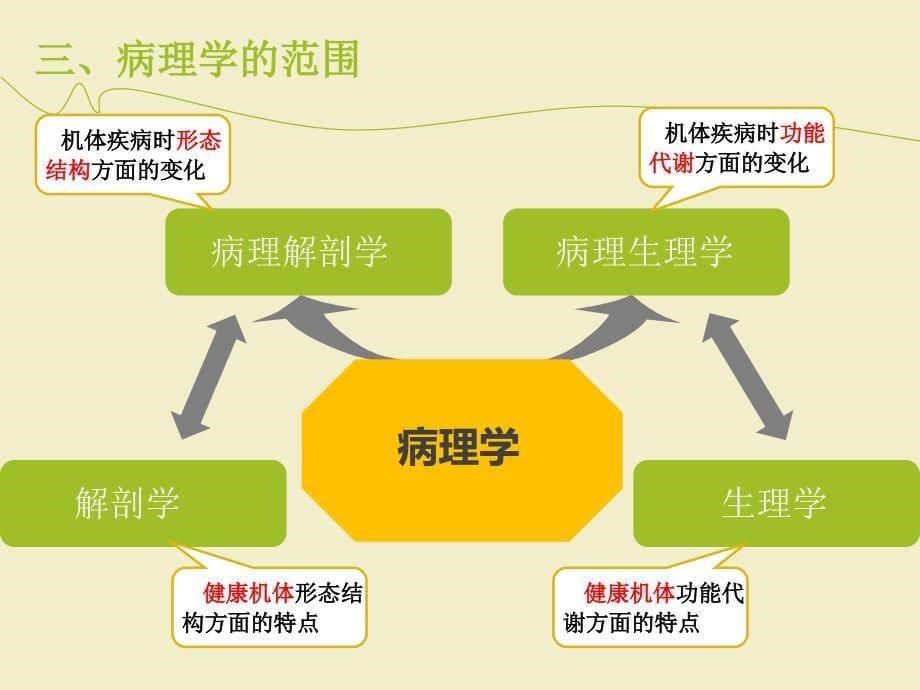 病理学基础第一章定稿课件_第5页