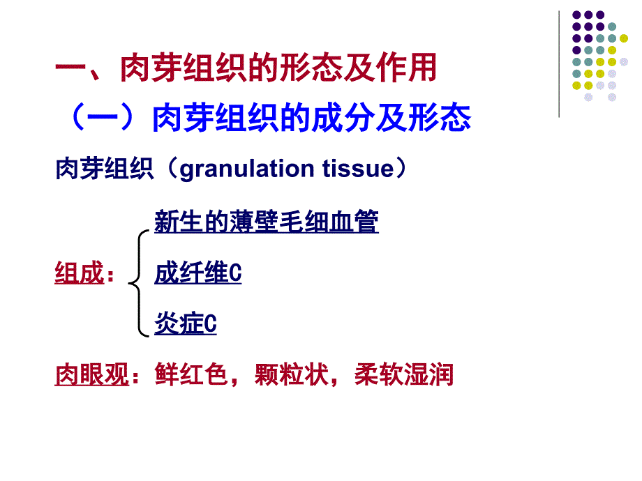 损伤的修复幻灯片_第2页