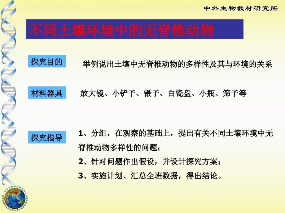 千姿百态的动物世界-课件_第5页