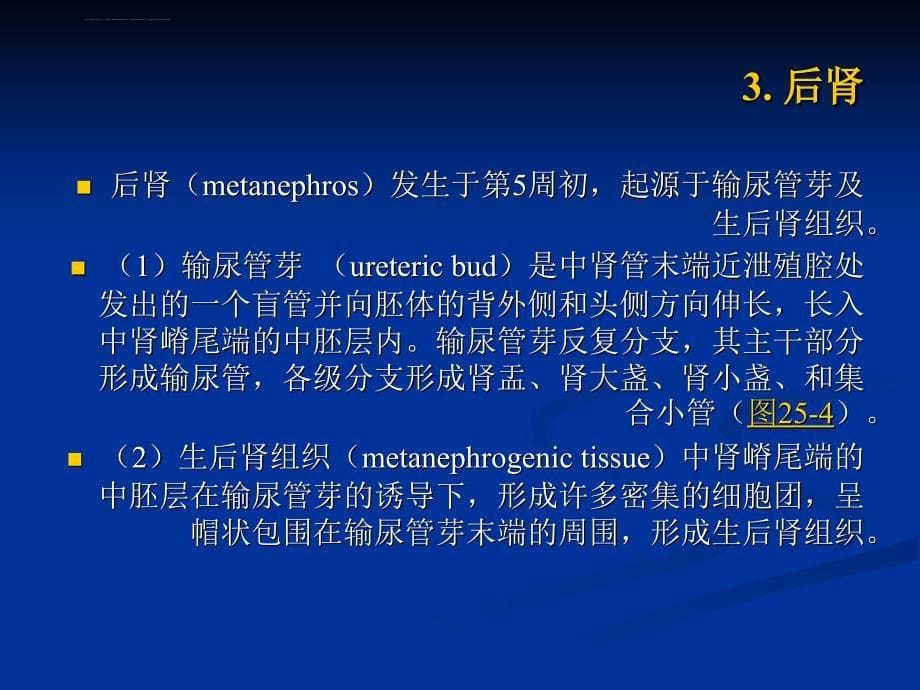 泌尿系统和生殖系统发生课件_第5页