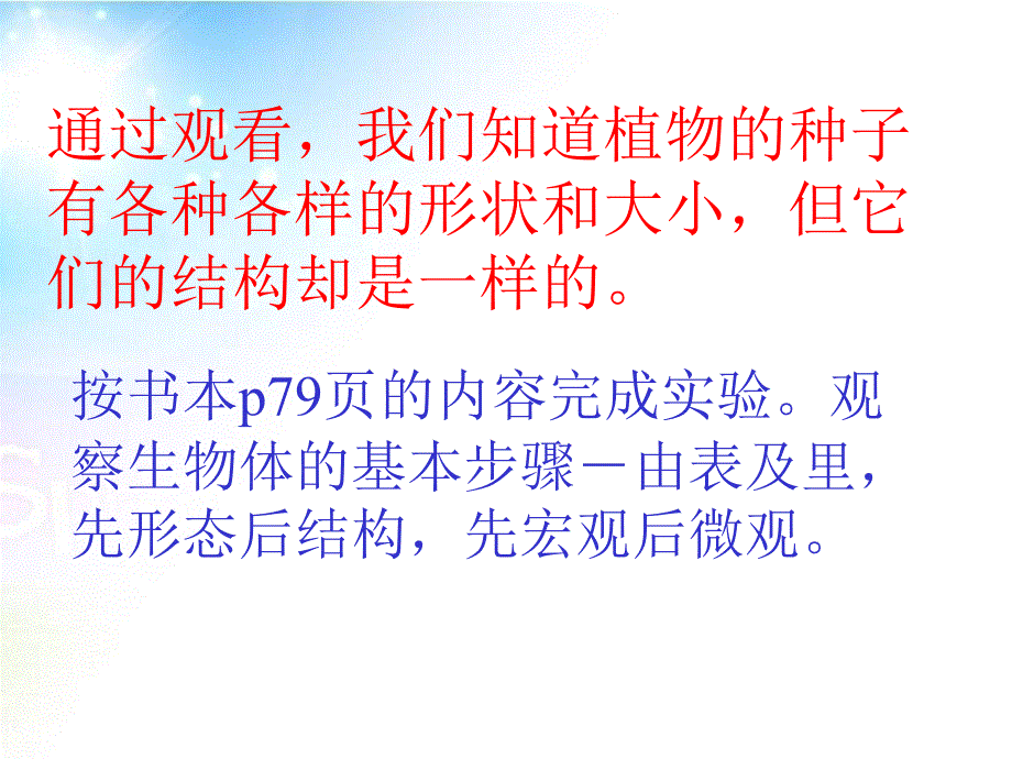 人教新课标版_七年级生物上册_生物地球上生命的起源1__第3页