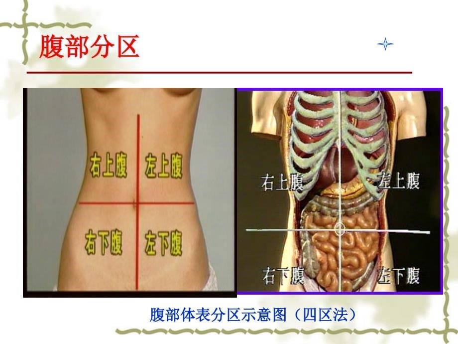 腹部四肢神经评估_第5页