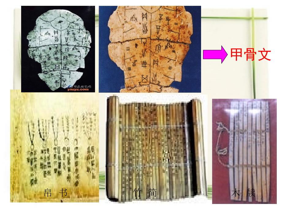 科学五年级上青岛版4.2纸幻灯片1_第3页