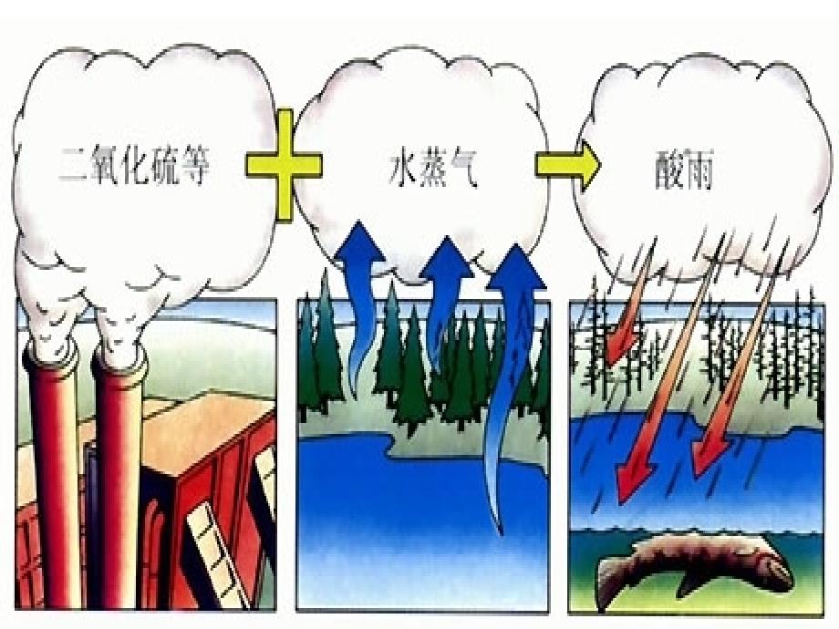 探究环境污染对生物的影响幻灯片人教版_第4页