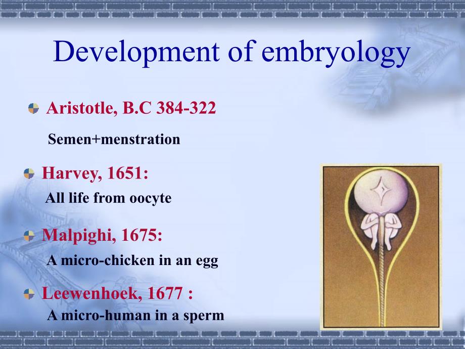 绪论-胚胎学-general-embryology-组织学和胚胎学_第4页