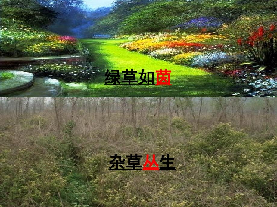 荒芜的花园幻灯片(第六册)_第3页