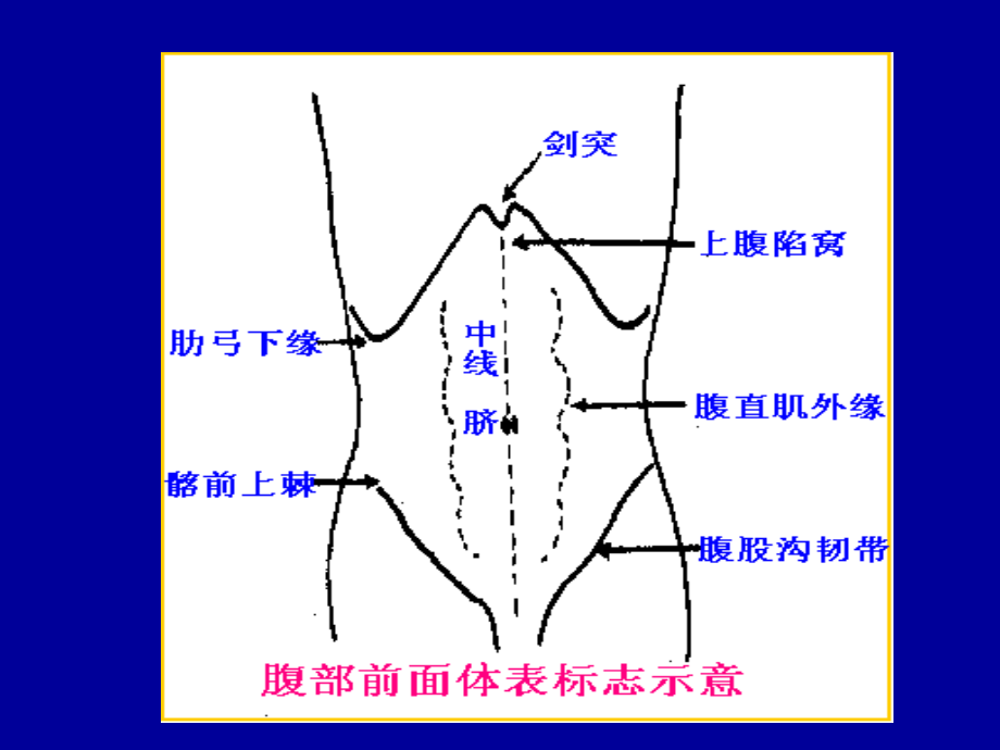 消化系统--体格检查_第4页