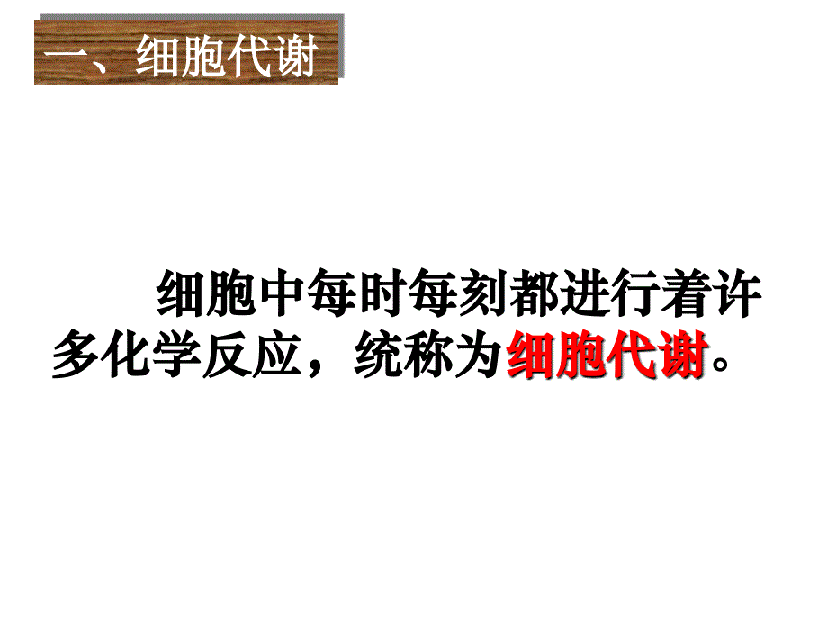 降低化学反应活化能的酶幻灯片_第3页