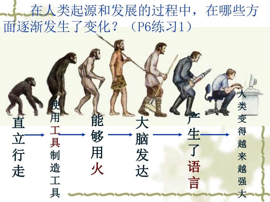 新人教版七年级生物下册第一章人的由来复习幻灯片_第5页