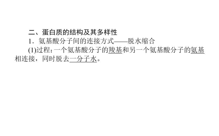 2015高考生物一轮复习：1.1.3生命活动的主要承担者——蛋白质、遗传信息的携带者——核酸_第5页