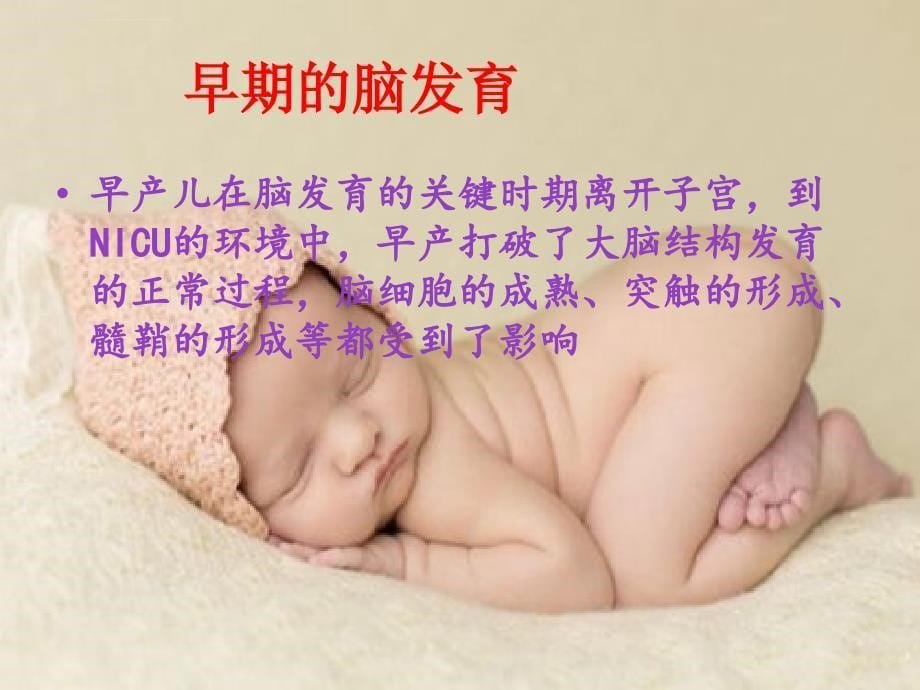早产儿的发展性照顾与评价课件_第5页