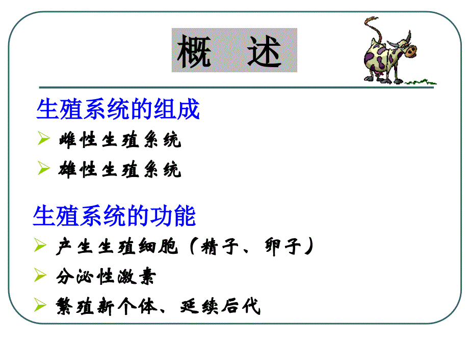 雌性生殖系统课件_第4页