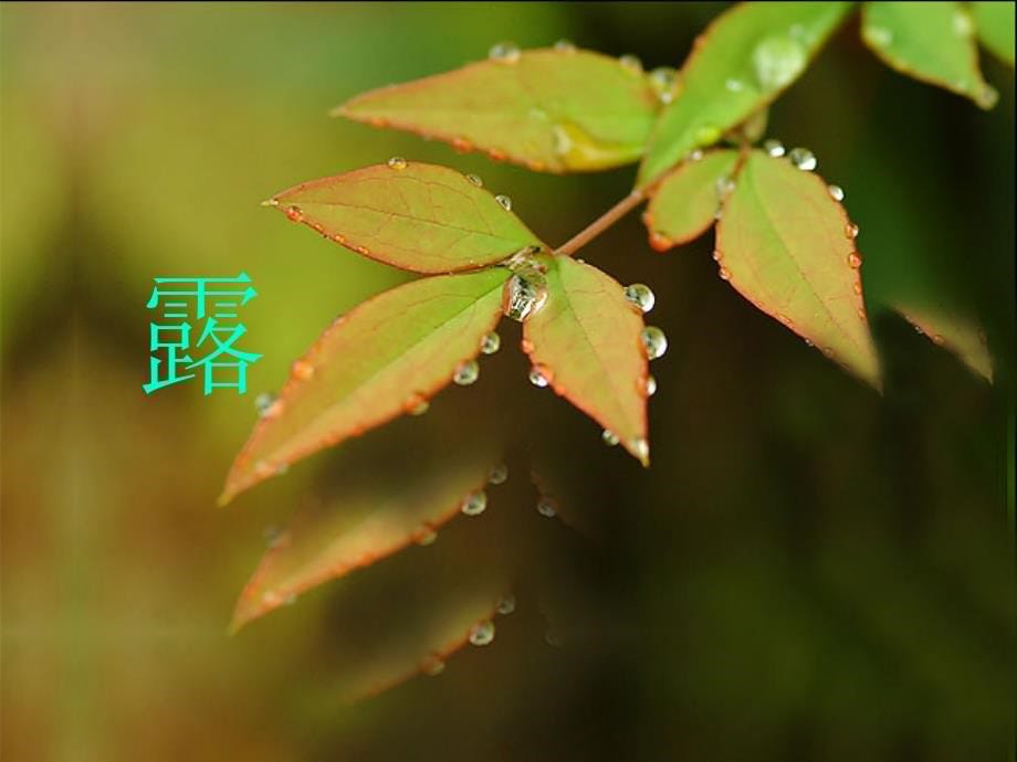 物态变化-温度-幻灯片-ppt_第5页