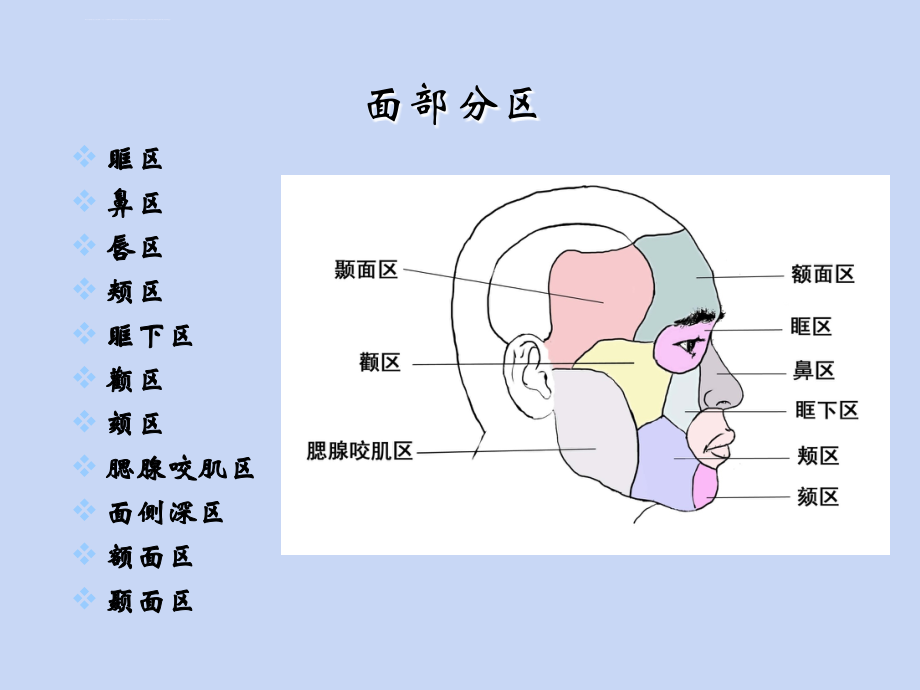 面颈颅部局部解剖(2011级)第八版幻灯片_第4页