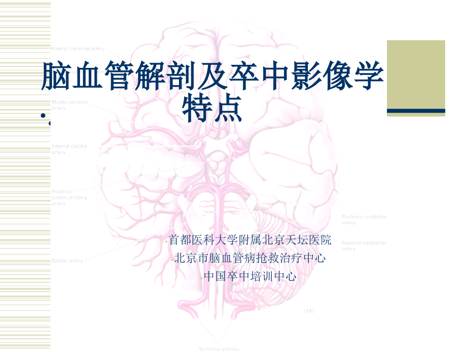 脑血管解剖-董可辉_第1页