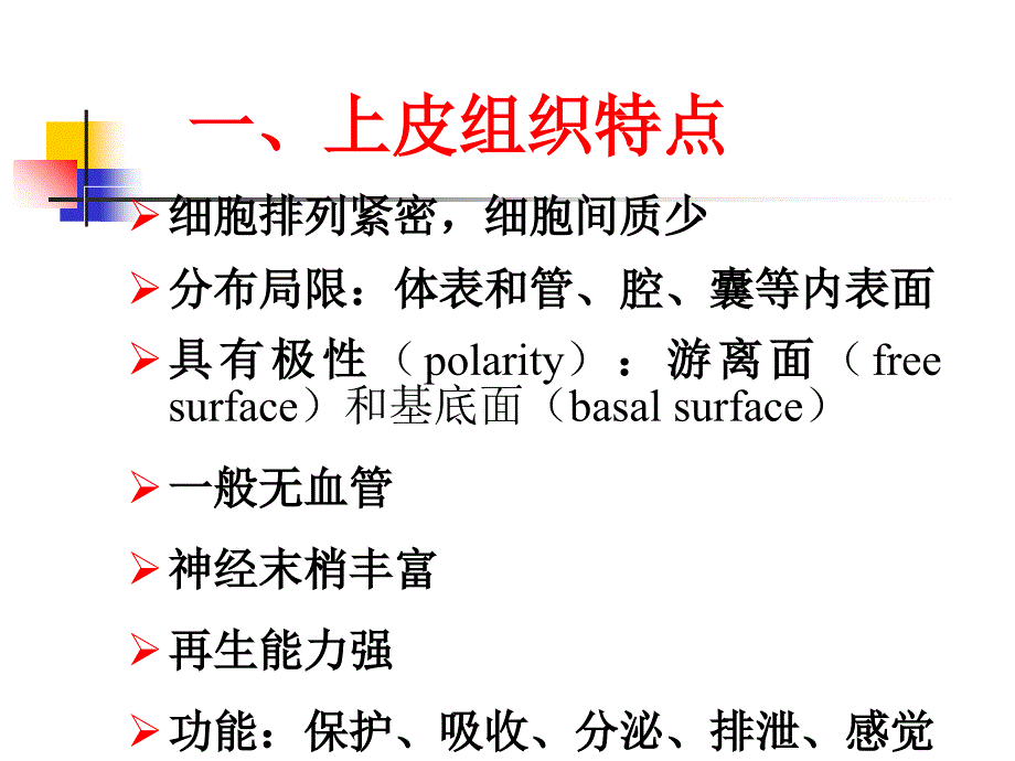 组织学与胚胎学-上皮组织_第3页