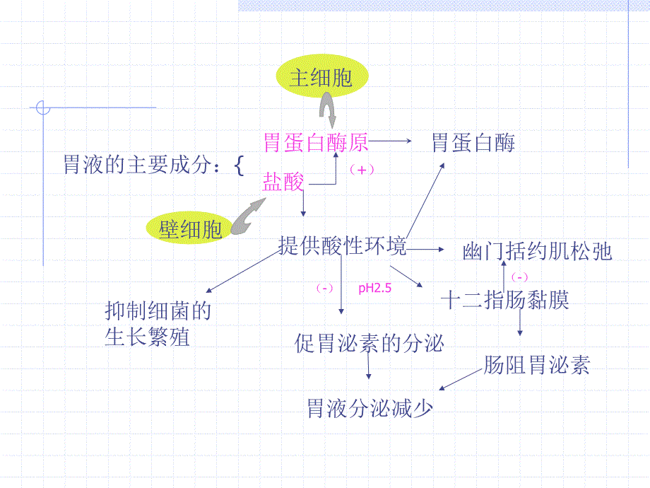 消化系统药物物课件_第2页