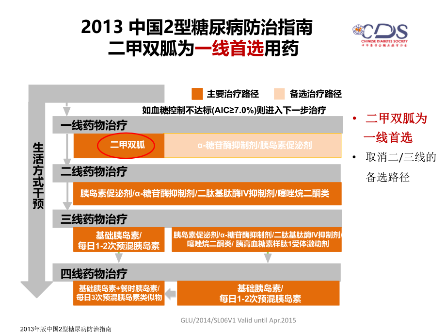 《二甲双胍临床应用专家共识》解读-20140912_第4页
