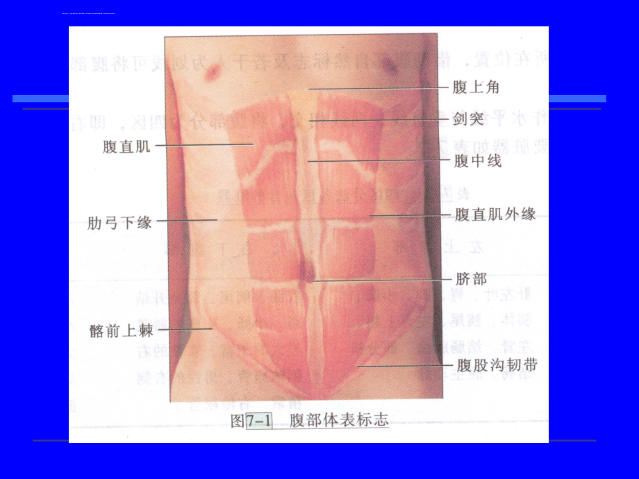 腹部诊断学-sk_第4页