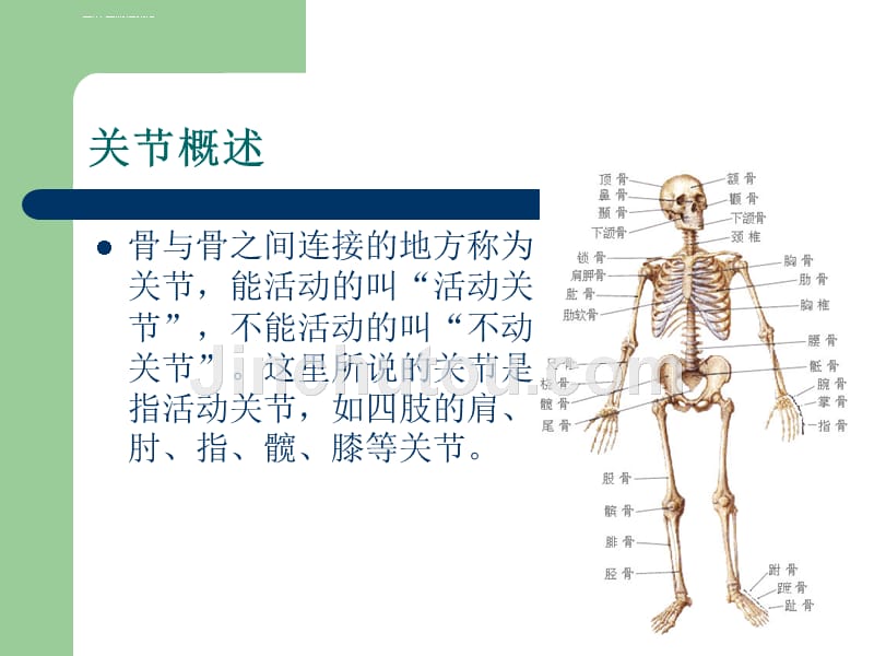 关节外科相关知识课件_第3页