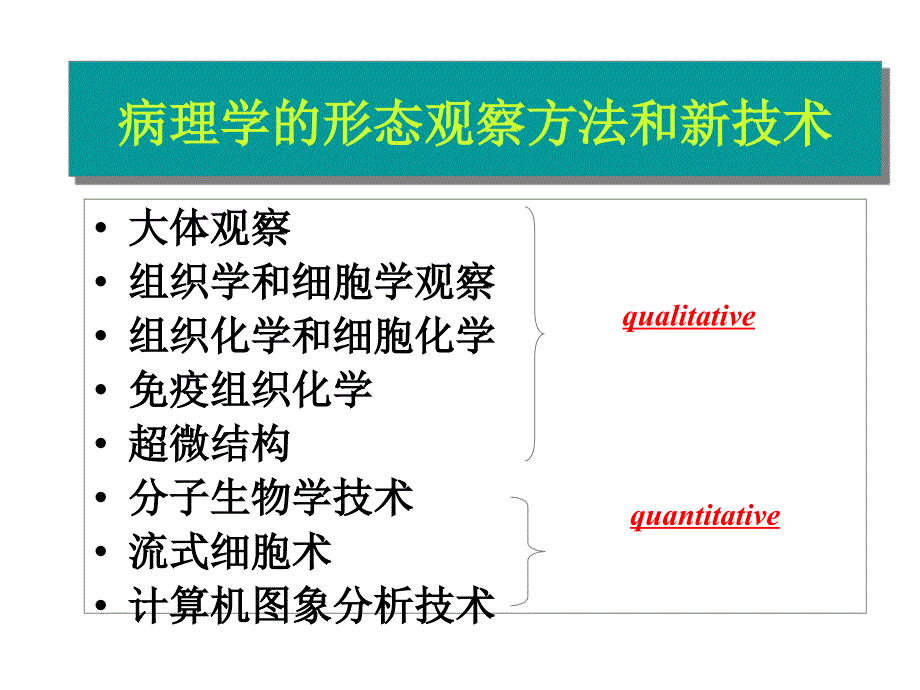 病理学技术的应用_第4页