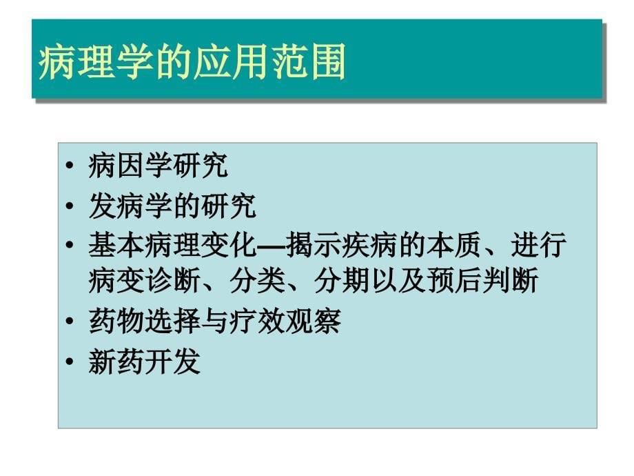 病理学技术的应用_第5页