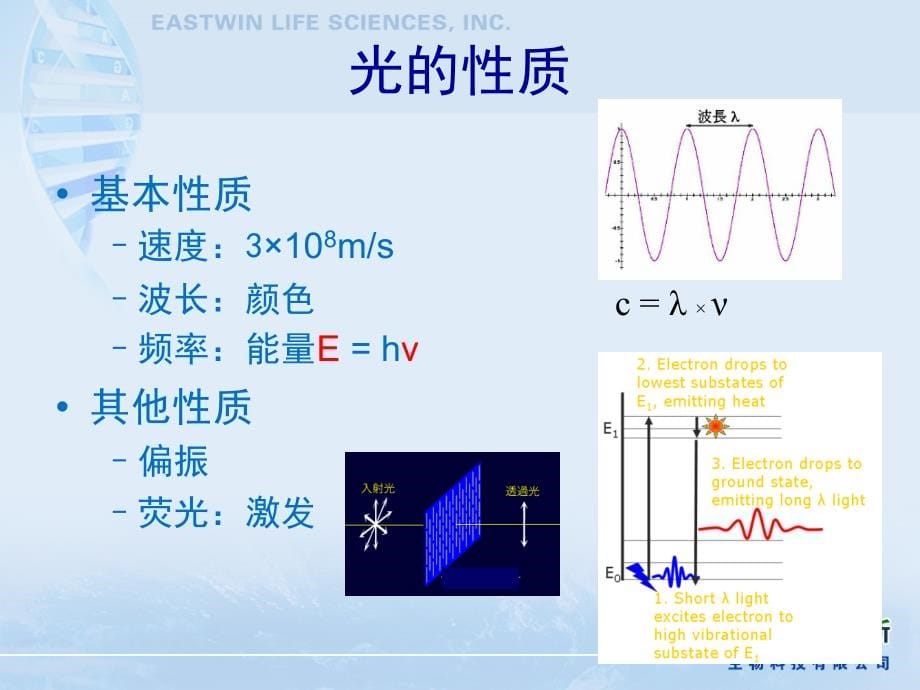 微孔板检测技术的原理和应用课件_第5页