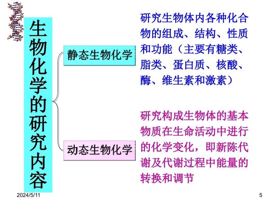 生物化学课件chapter-1-绪论_第5页