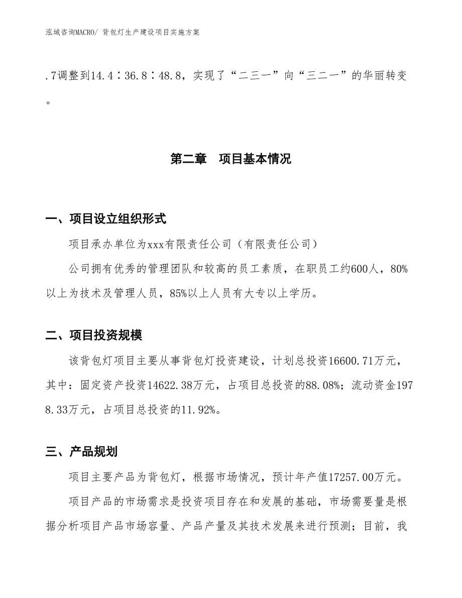 背包灯生产建设项目实施方案(总投资16600.71万元)_第5页