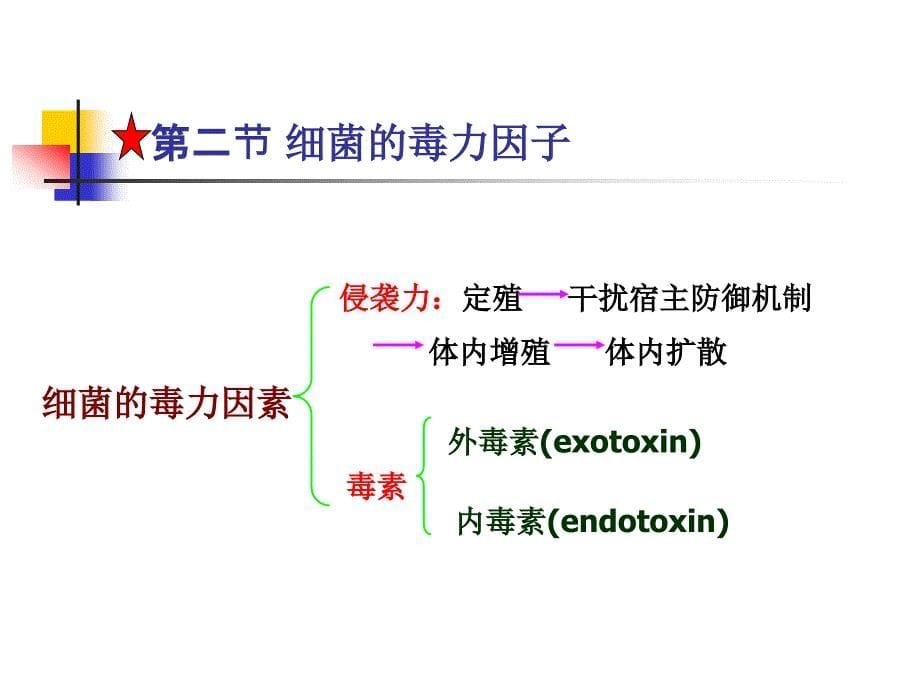 兽医微生物-细菌的感染与致病机理_第5页