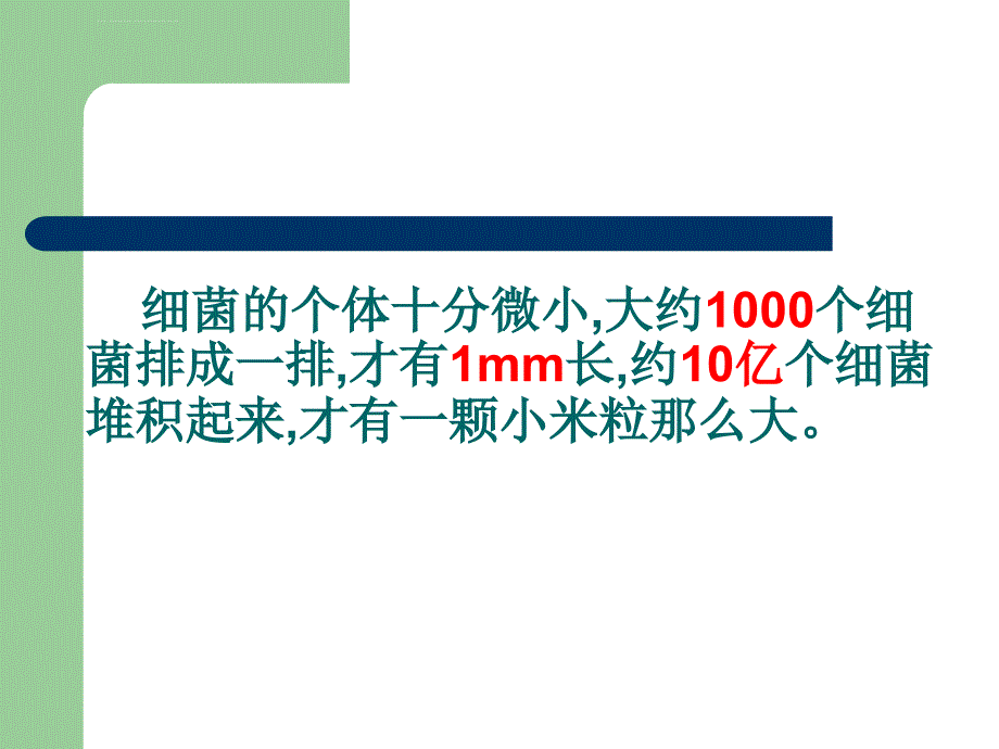 青岛版六年级科学上册细菌课件_第3页