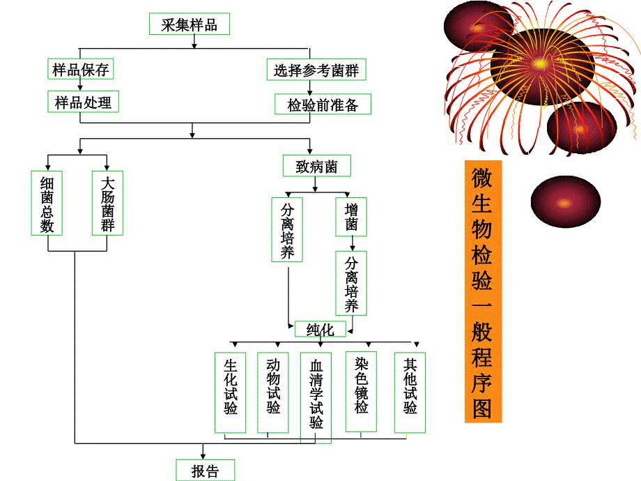 微生物检测-第二章课件_第2页