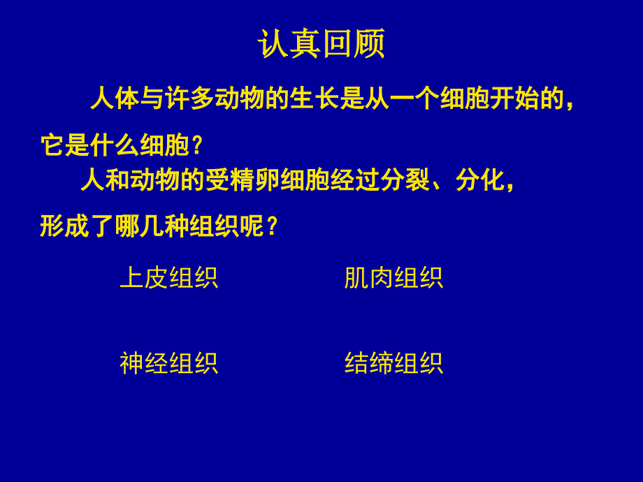 北师大版七年级生物上册-第二单元第四章第二节生物体的器官、系统_第2页