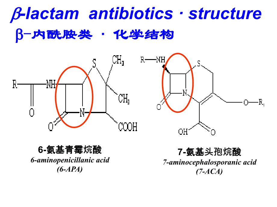 青霉素和头孢菌素课件_第4页