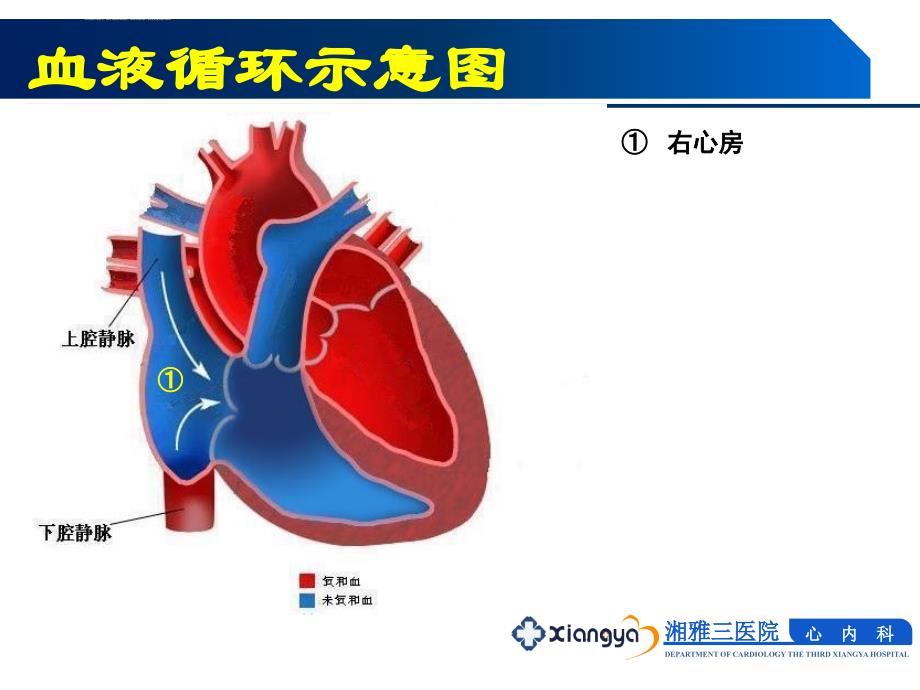 循环系统常见疾病的主要症状和体征课件_第4页