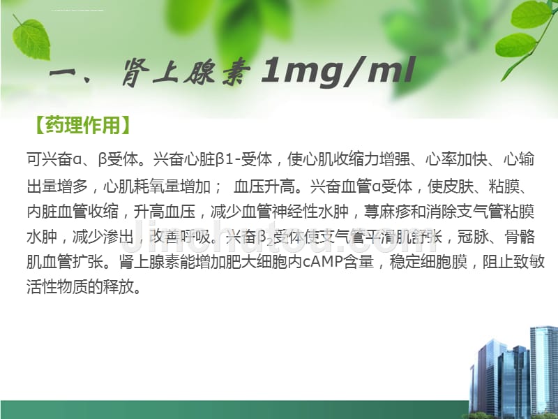 常用抢救药物的l临床应用课件_第3页