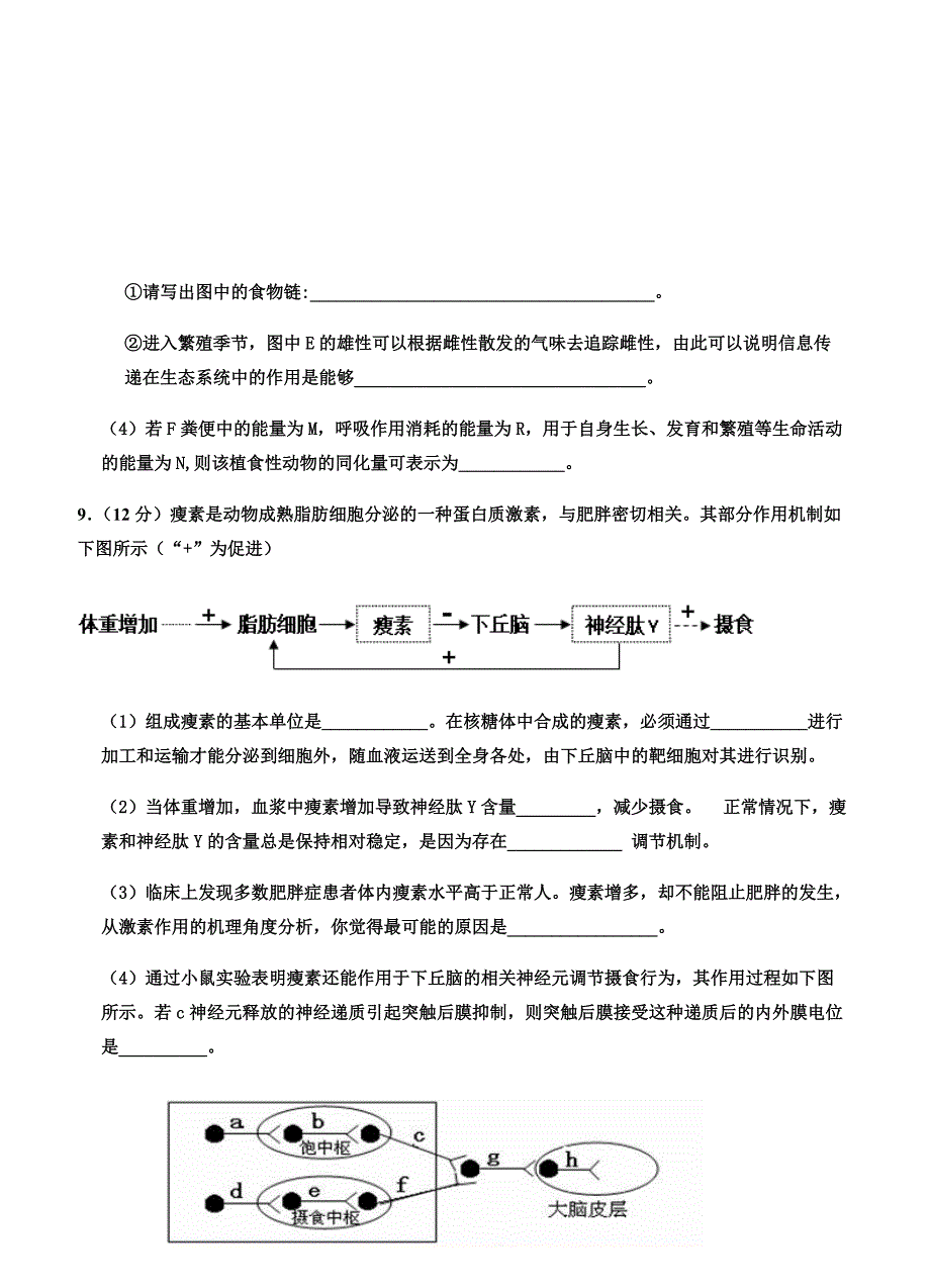 天津市红桥区2019届高三下学期一模考试生物试题(有答案)_第4页