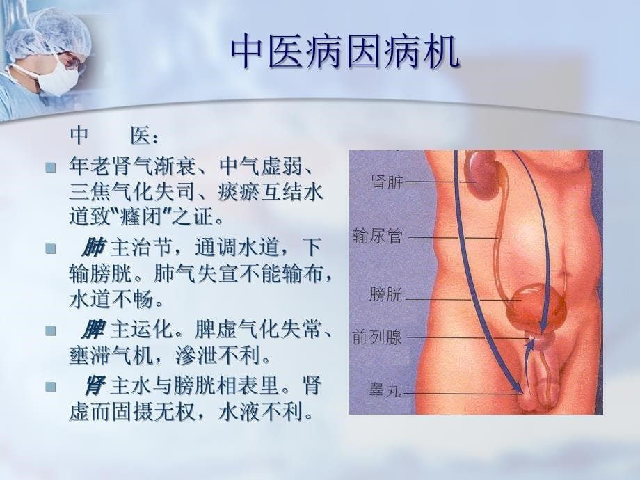 外科学--良性前列腺炎增生症课件_第5页