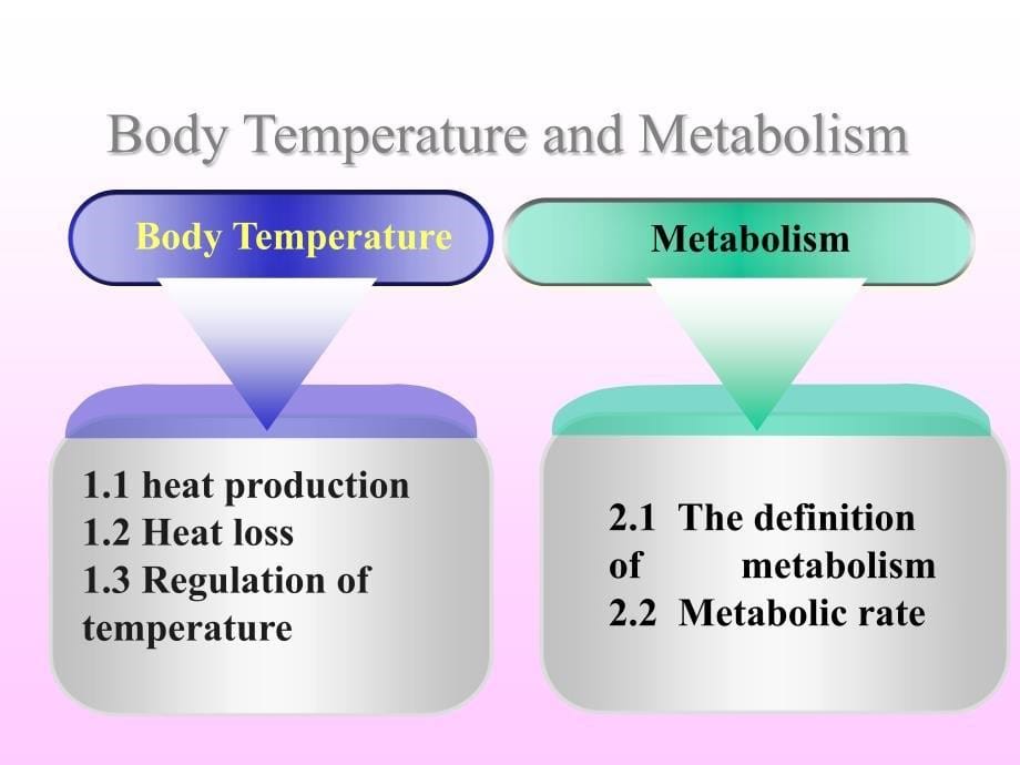 医学英语课件temperature_第5页