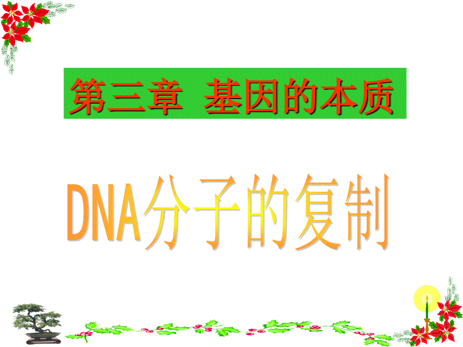 高中生物必修二3.3--dna分子的复制ppt幻灯片_第1页