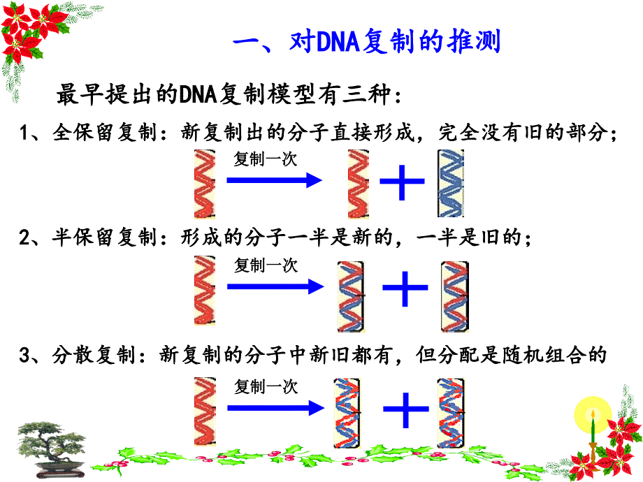 高中生物必修二3.3--dna分子的复制ppt幻灯片_第2页