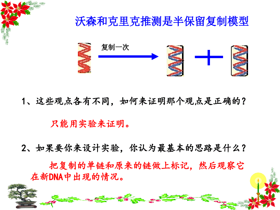 高中生物必修二3.3--dna分子的复制ppt幻灯片_第3页