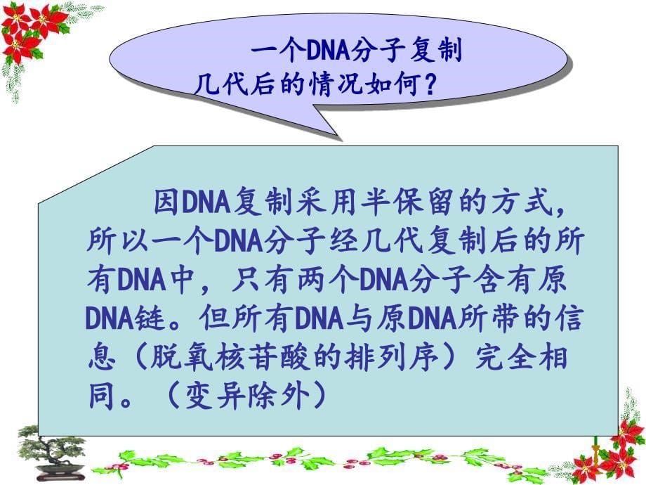 高中生物必修二3.3--dna分子的复制ppt幻灯片_第5页