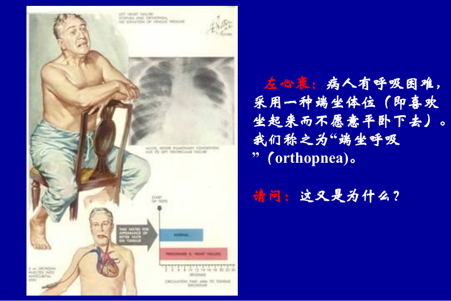 绪论疾病概论(本)-08-09-2_第3页