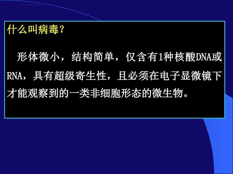 病毒学总论--修改课件_第5页