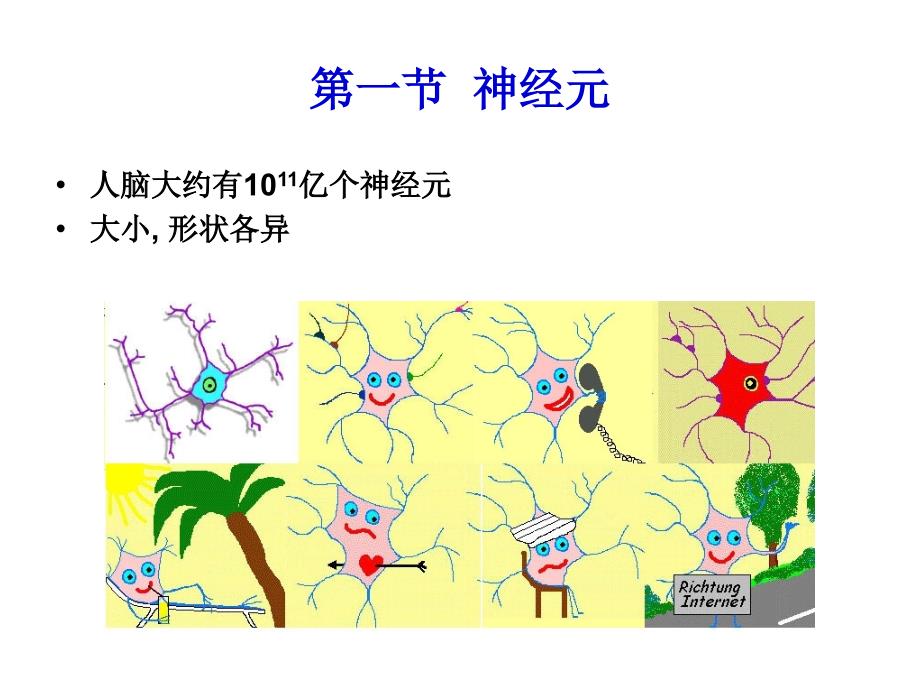 神经元和神经胶质细胞-神经生物学_第2页