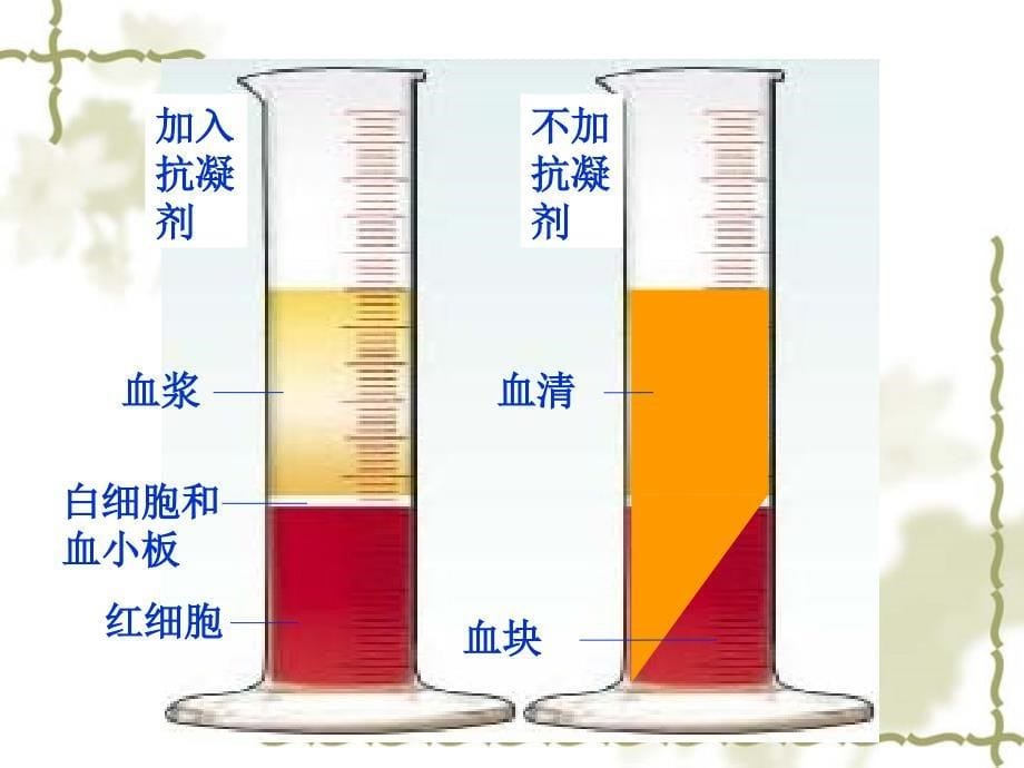 济南版七下第三章循环复习++32ppt课件_第5页