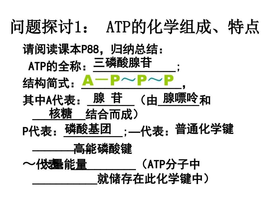 高一生物atp幻灯片_第5页