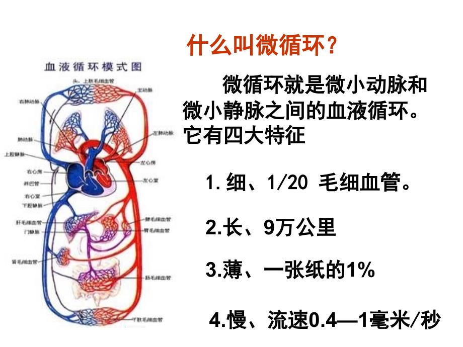 微循环科普讲座-------于欣--诺金课件_第4页