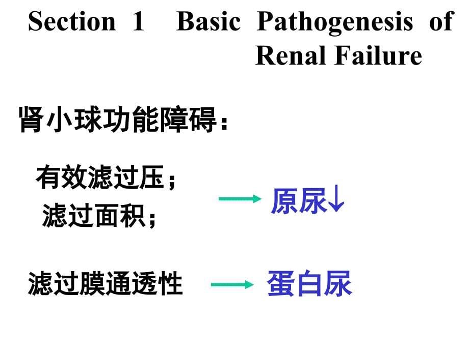 肾功能衰竭 (2)_第5页